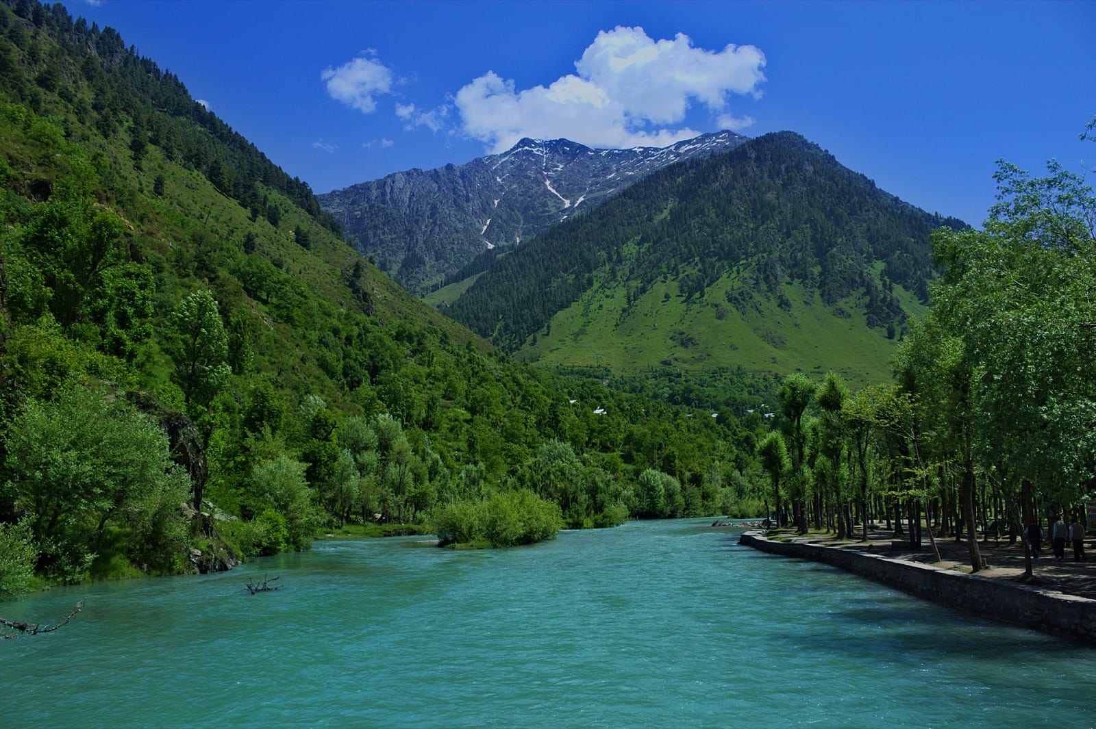 Pahalgam Lidder River Valley Kashmir