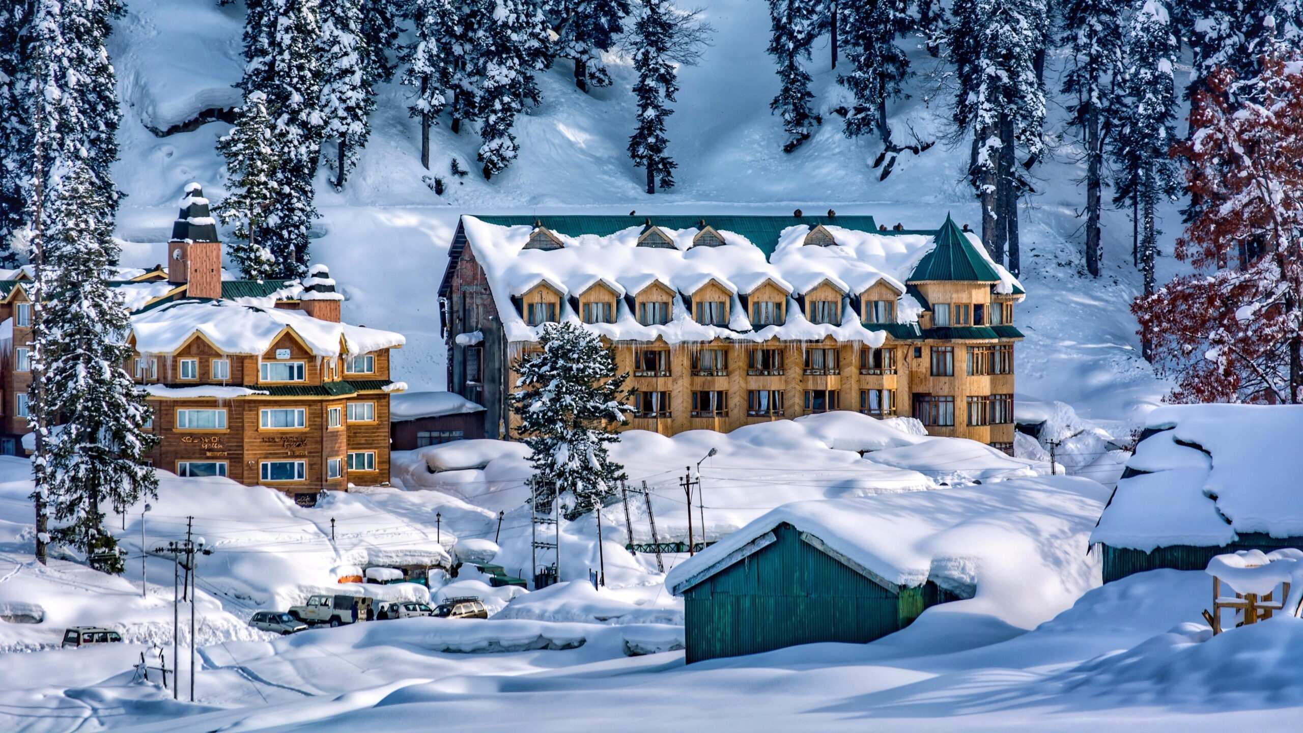 Gulmarg Gondola Snow Kashmir